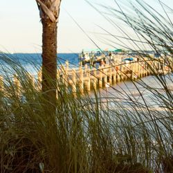 Papa Joe's Bayside - Papa Joe's dock
