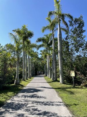 Naples Zoo at Caribbean Gardens by null
