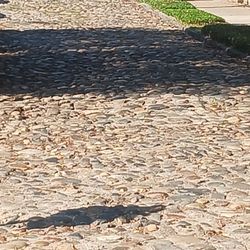 The bumpy road the dog park sits on