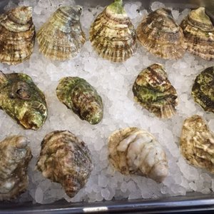 Photo of Northeast Oyster - Mamaroneck, NY, United States. Before and after amazing oysters