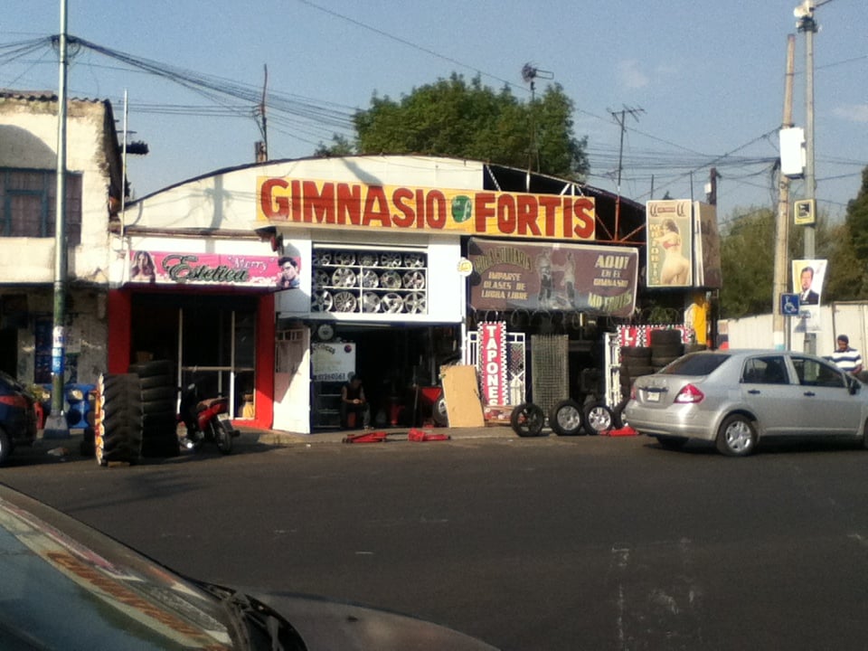 Gimnasio Mr. Fortis