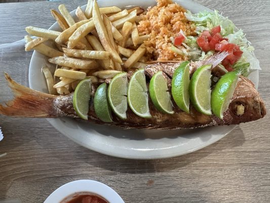 Casita Tejas Mexican Restaurant by null