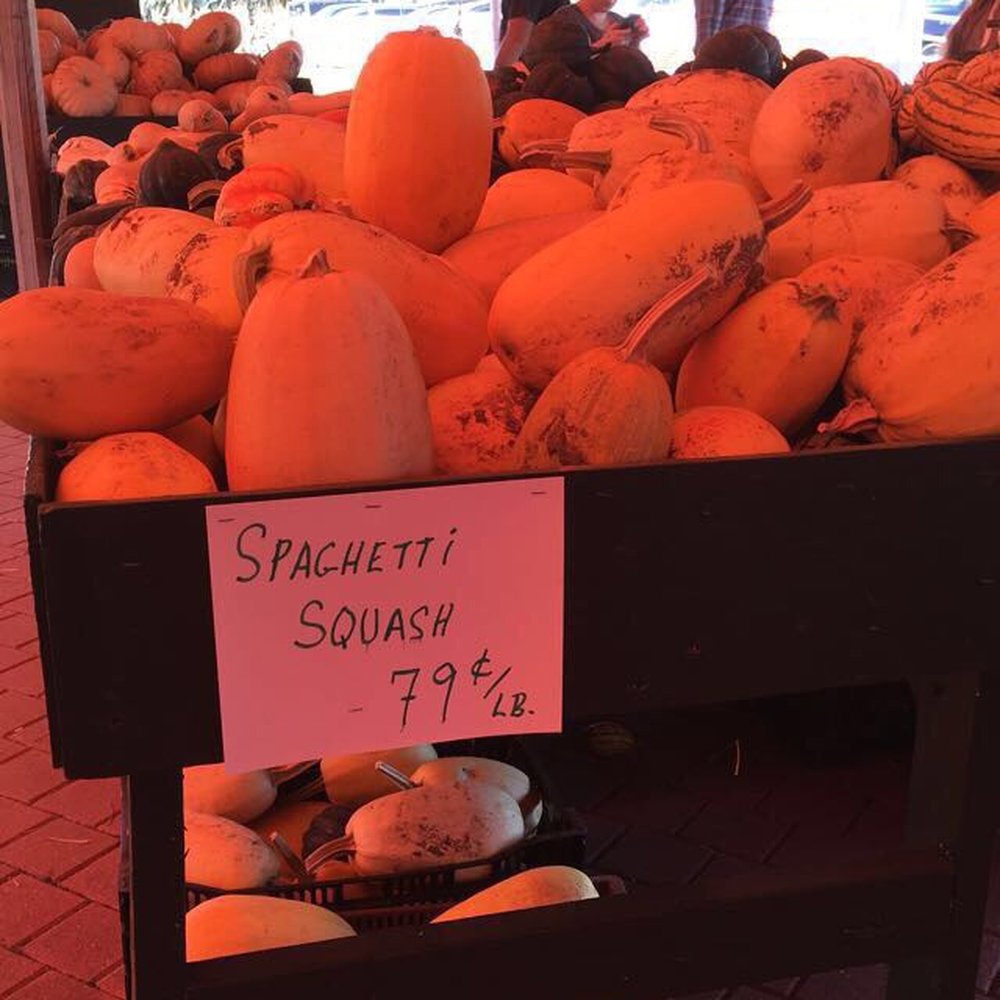 A. Casola Farms - Farmers Market Near Me - Holmdel, New Jersey A. Casola Farms - Farmers Market Near Me - Holmdel, New Jersey