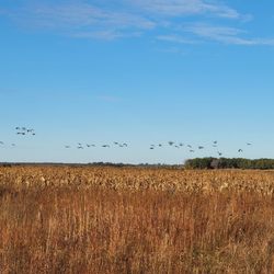 Crex Wildlife Education & Visitor Center