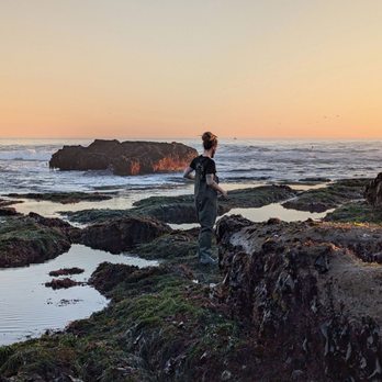 Maverick's Surf Break - Gorgeous day at the tide pools - Surfing Near Me Maverick's Surf Break - Gorgeous day at the tide pools - Surfing Near Me