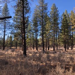 Phil's Trailhead