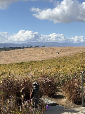 Callaway Vineyard & Winery by null