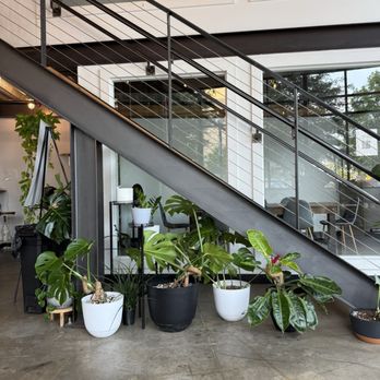 Inclusion Coffee - Inside aesthetic - Coffee & Tea Near Me - Arlington, Texas