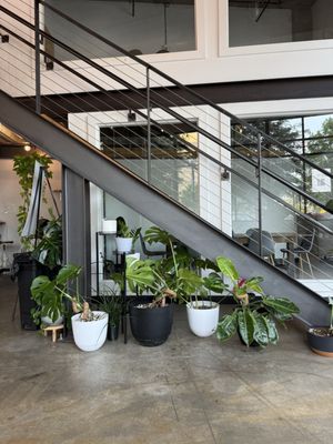 Inclusion Coffee by null