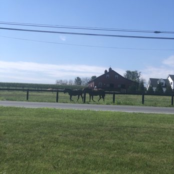 AmishView Inn & Suites - Hotels Near Me - Bird In Hand, Pennsylvania