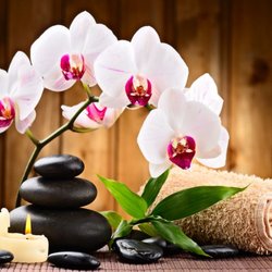 Aroma Spa Massage - Won'S Massage Tel:619-563-5777 or (619) 343-5924 3817 32nd St, San Diego, CA 92104 Open: 9am - 11:00pm / 7Days