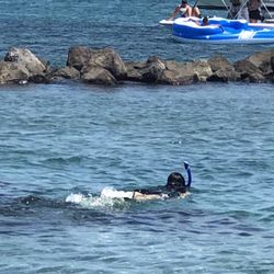 Riviera Beach City of - Snorkeling at Peanut Island.