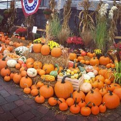 Pick your own pumpkin patch and other festive item for Fall!