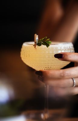 Jaguar Paw Bar by null