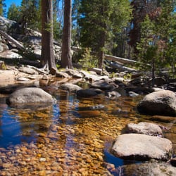Yosemite Creek Campground - Yosemite Creek Campground: run-off stream