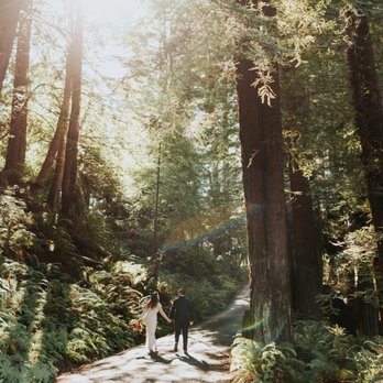 Mitchell Grove - You get the best of the beautiful orchards and the beautiful redwoods. - Venues & Event Spaces Near Me - Eureka, California