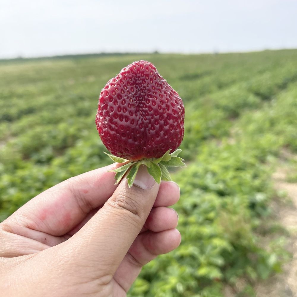 Navarino Orchard - Fruits & Veggies Near Me - Syracuse, New York