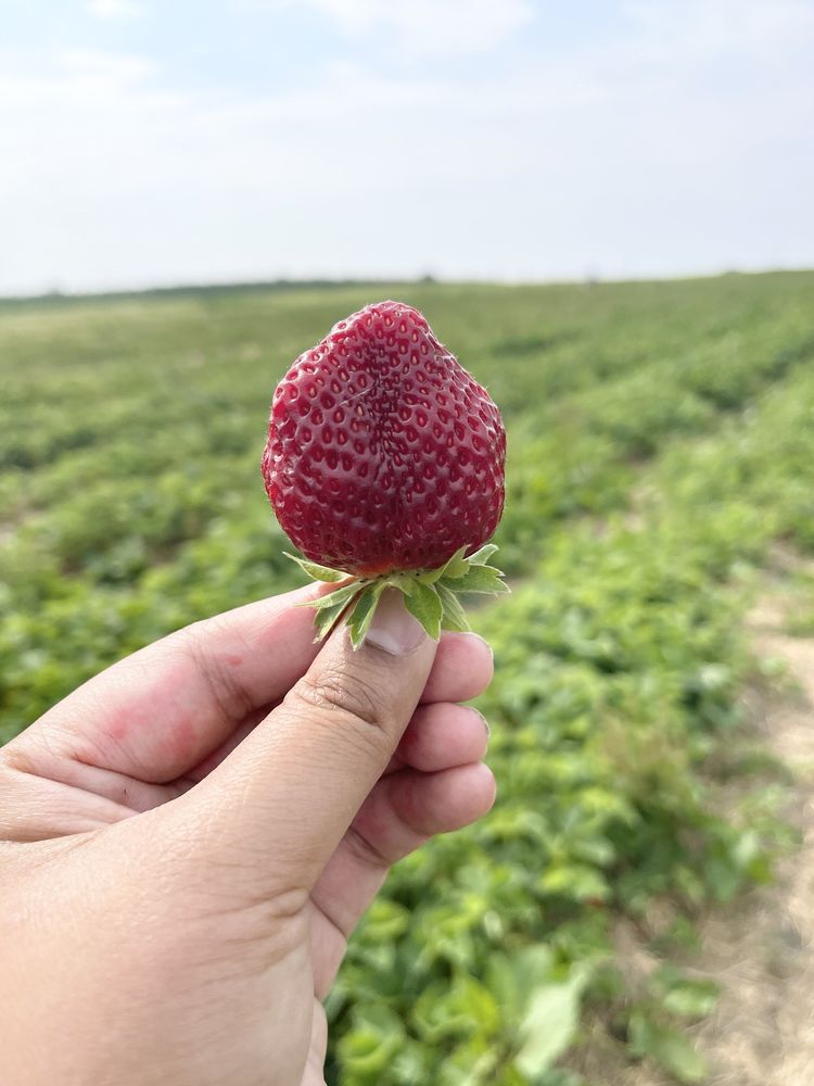 NAVARINO ORCHARD Updated August 2024 76 Photos & 46 Reviews 3655