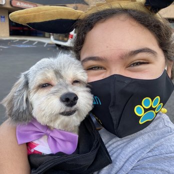 Brea Grooming - Everyone is happy! - Pet Groomers Near Me - Brea, California