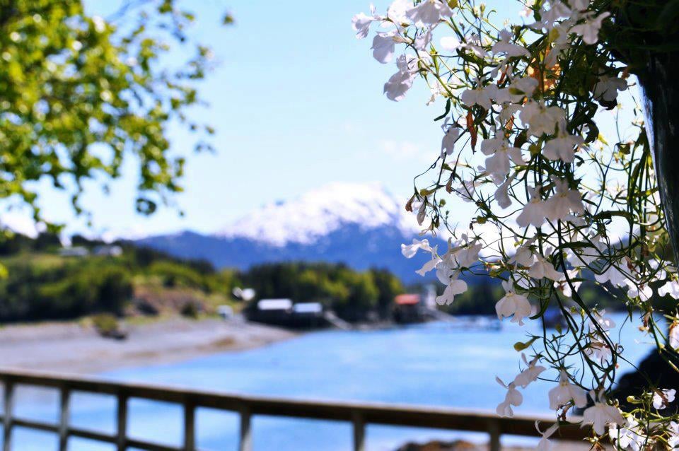 HALIBUT COVE COFFEE HOUSE Updated August 2024 17 Photos 100
