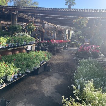 Maas Nursery - Nurseries & Gardening Near Me - Seabrook, Texas