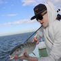 Funnybone Charters