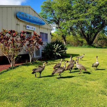 PMRF Barking Sands Cottages - Nene! - Guest Houses Near Me