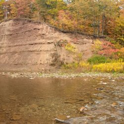 Sixteen Mile Creek - By the creek