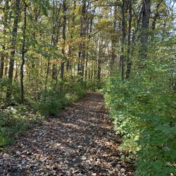 Vandalia Rail Trail - Access road to get on the trail