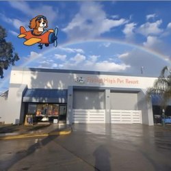 Flying High Pet Resort - Flying High Pet Resort offers Doggy Daycare, Dog Boarding, Grooming, Non Anesthesia Teeth Cleaning and Self wash Grooming Salon
