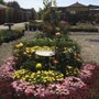Photo of Far West Nursery