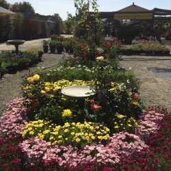 Far West Nursery - More fun...I worked for 4 years at Far West, doing the displays!
