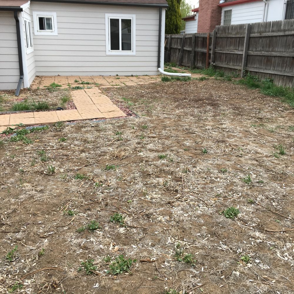 Centennial Outdoor Creations - Robert W. Photo 2 - BEFORE - Landscaping Near Me - Greeley, Colorado Centennial Outdoor Creations - Robert W. Photo 2 - BEFORE - Landscaping Near Me - Greeley, Colorado
