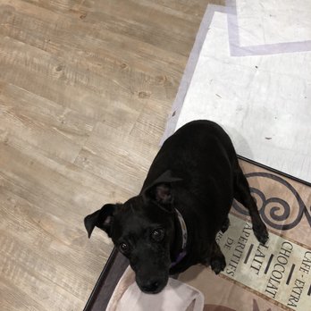 Canyon Veterinary Hospital - Veterinarians Near Me - Castro Valley, California Canyon Veterinary Hospital - Veterinarians Near Me - Castro Valley, California