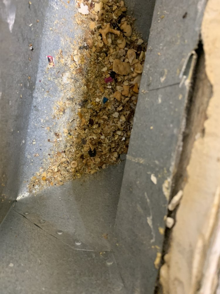 TOP DUCT CLEANING Updated July 2024 350 Pevero Dr, Idaho Falls