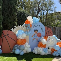 Anna Party Decor - Birthday decorations