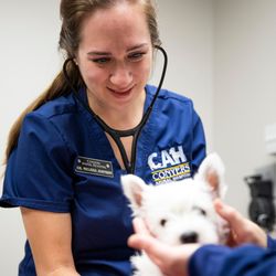 Conyers Animal Hospital