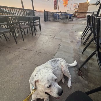 El Chatos Tacos & Tequilas - Outdoor patio is very nice! - Sports Bars Near Me - Aledo, Texas El Chatos Tacos & Tequilas - Outdoor patio is very nice! - Sports Bars Near Me - Aledo, Texas