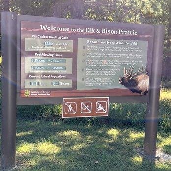 Elk and Bison Prairie - Parks Near Me - Golden Pond, Kentucky