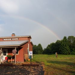 Mercier Farms