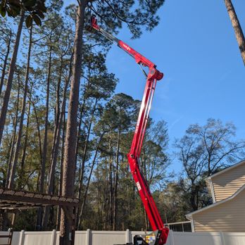 Top Notch Tree Service - Tree service at it's finest - Tree Services Near Me Top Notch Tree Service - Tree service at it's finest - Tree Services Near Me