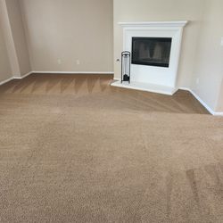 DVA Carpet Cleaning - Living room carpet