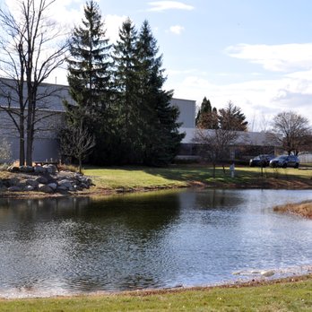 MSI - Flooring Near Me - Wixom, Michigan MSI - Flooring Near Me - Wixom, Michigan