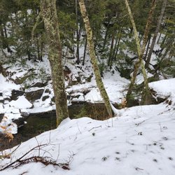 Chesterfield Gorge - Chesterfield Gorge