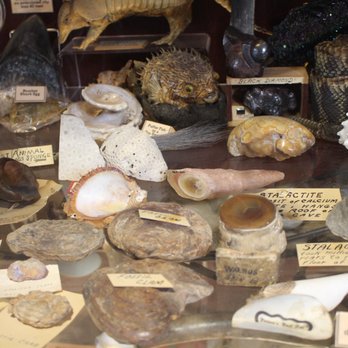 Ye Olde Curiosity Shop - Jewelry Near Me - Seattle, Washington Ye Olde Curiosity Shop - Jewelry Near Me - Seattle, Washington