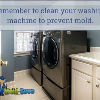 Mold-Spec - Mold can grow anywhere - Damage Restoration Near Me - Ormond Beach, Florida Mold-Spec - Mold can grow anywhere - Damage Restoration Near Me - Ormond Beach, Florida
