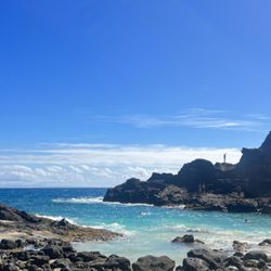 Cockroach Cove