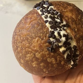 Knead Bakehouse + Provisions - hazelnut chocolate cream bun - Bakeries Near Me - St. Louis, Missouri Knead Bakehouse + Provisions - hazelnut chocolate cream bun - Bakeries Near Me - St. Louis, Missouri