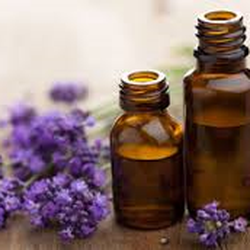 Tranquility and Wellness