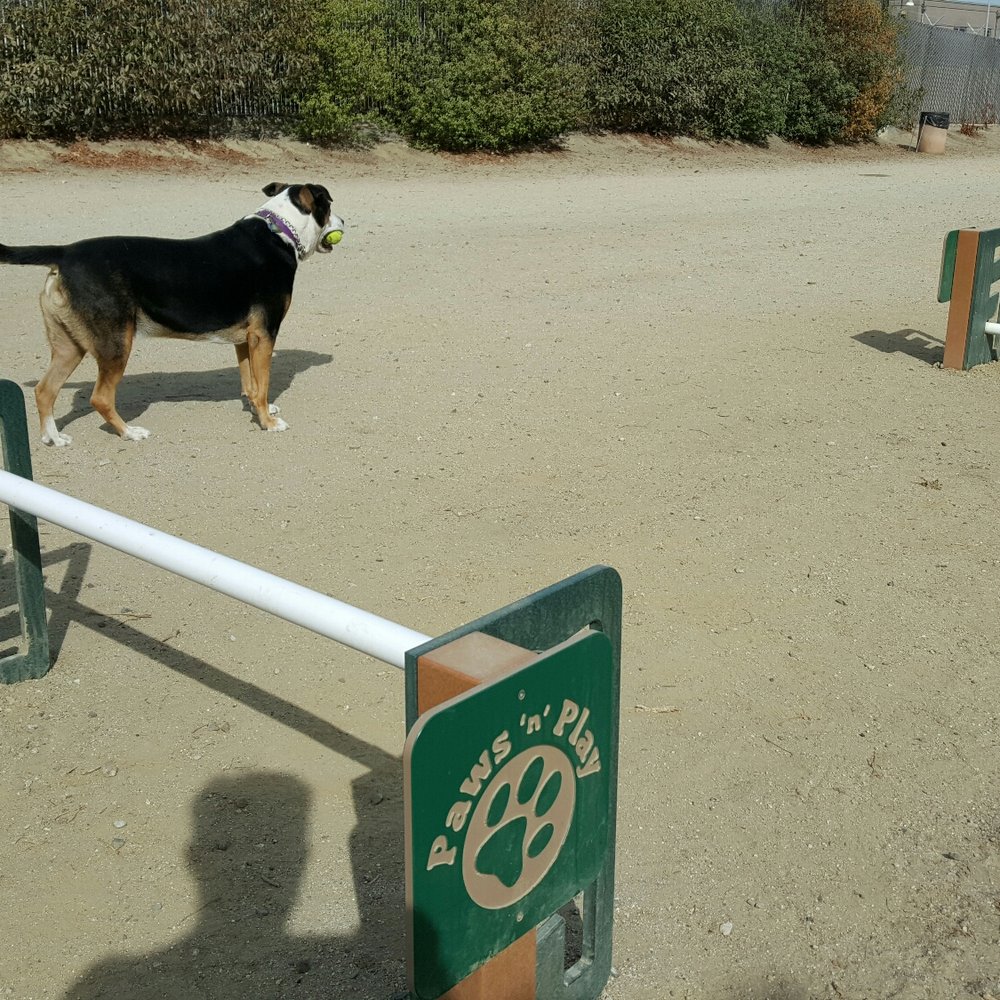 Burlingame Dog Exercise Park - Really cool jumps for your dog to exercise. - Dog Parks Near Me - Burlingame, California
